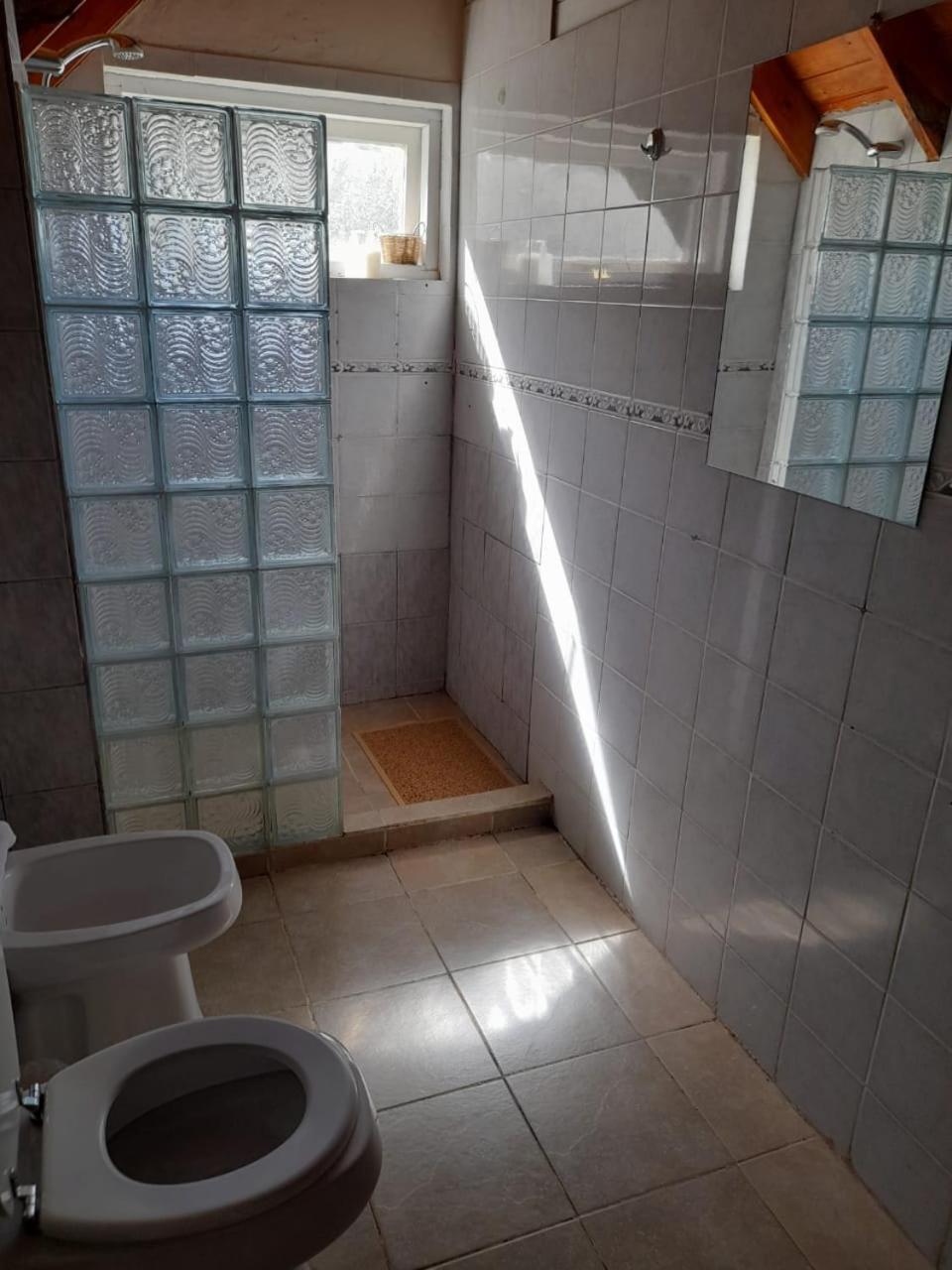 Complejo Moquehue Villa Villa Pehuenia Eksteriør billede